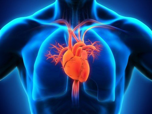 Cardiovascular Diseases in Spain: Understanding the Silent Threat