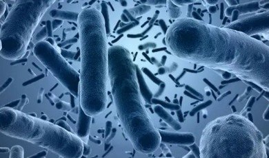 25 Interesting Facts About Diseases