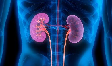 Chronic kidney disease
